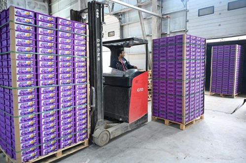 針對近期羽絨制品造假亂象,中羽協發聲并發布消費提示