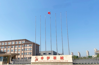 裕安白鵝&ldquo;向天歌&rdquo;_六安市裕安區人民政府