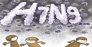 南昌嚴禁任何活禽入市 學(xué)校里還能吃到雞肉嗎